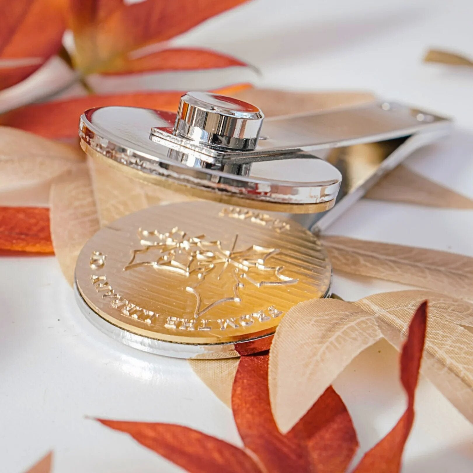 Autumn themed interchangeable book embosser clip surrounded by fall leaves.